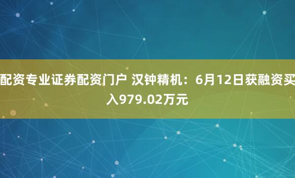 配资专业证券配资门户 汉钟精机:6月12日获融资买入979.02万元