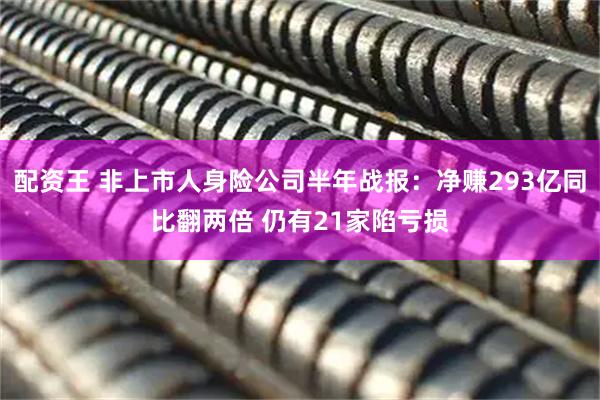 配资王 非上市人身险公司半年战报：净赚293亿同比翻两倍 仍有21家陷亏损
