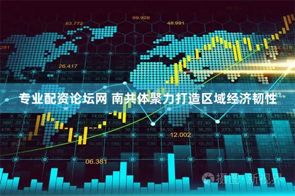 专业配资论坛网 南共体聚力打造区域经济韧性